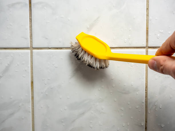 Trusted Wofford Heights, CA Mold Remediation Experts