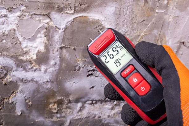Best Preventive Mold Services in Wofford Heights, CA